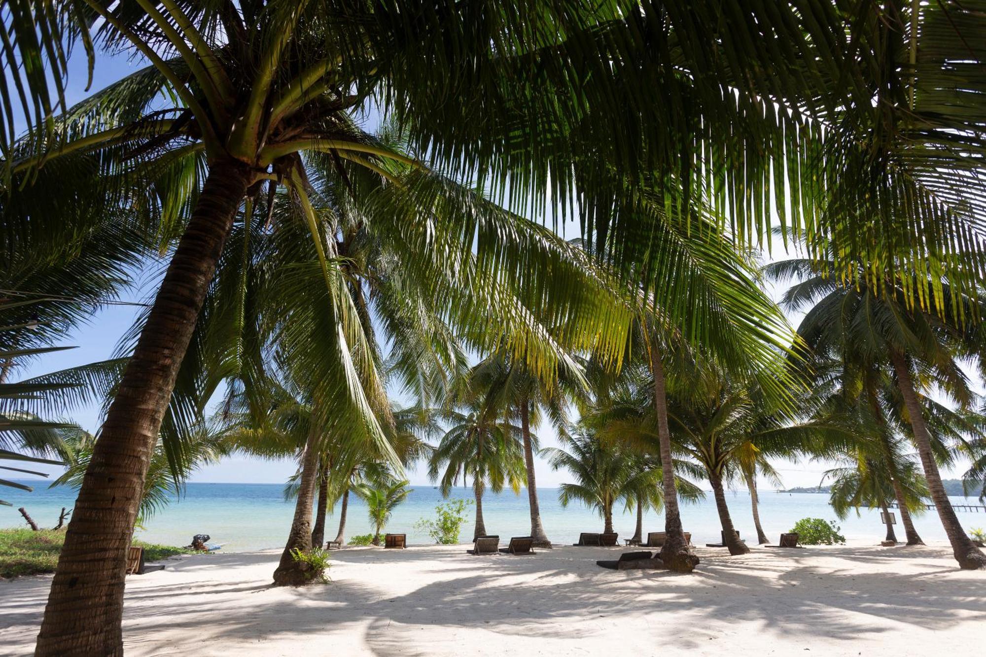 Tamu Koh Rong Hotell Pagoda Beach Eksteriør bilde